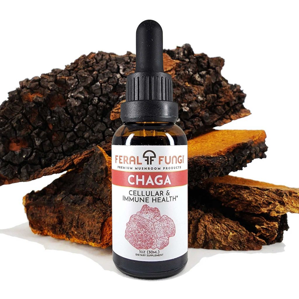 chaga-feral-fungi-mushroom-tincture-find-your-fungi-mush_2048x2048