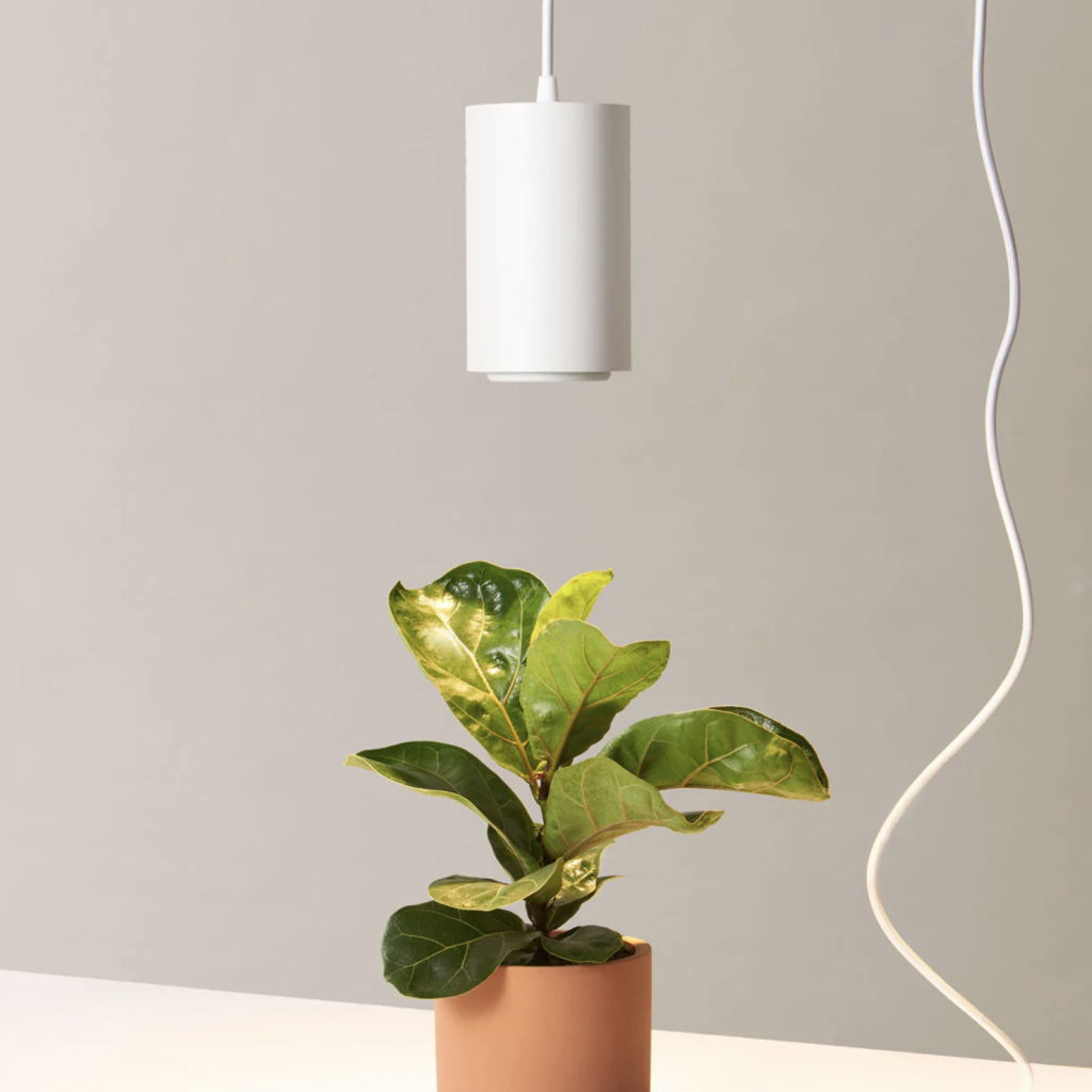 spot-growing-lamp